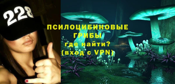 дживик Кинешма