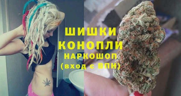 дживик Кинешма