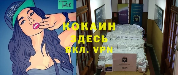 дживик Кинешма