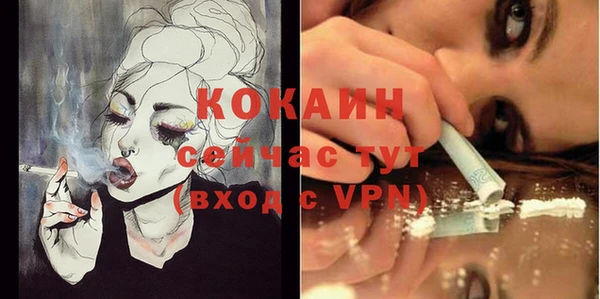 дживик Кинешма