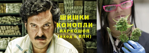 дживик Кинешма