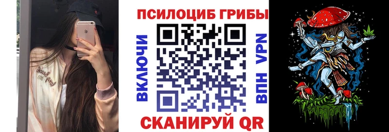 Псилоцибиновые грибы прущие грибы  купить   Стародуб 